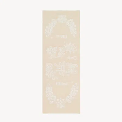 Chloé Rectangular Stole In Wool & Silk Broderie Anglaise