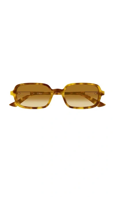 Chloé Rectangular Sunglasses In Brown