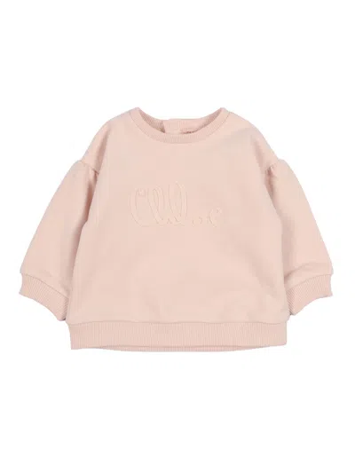 Chloé Chloe' Felpa In Pink