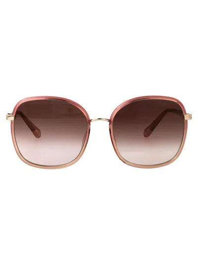 Chloé Red-pink-brown Bio Injection Sunglasses