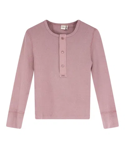 Chloé Ribbed Cotton T-shirt In Pink