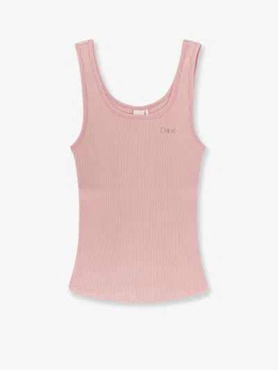 Chloé Ribbed Cotton Top In Pink