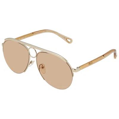 Chloé Chloe Rose Gold Pilot Ladies Sunglasses Ce152s 841 59 14 In Brown
