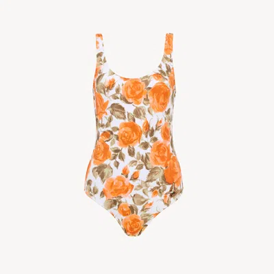 Chloé Rose-print One-piece Swimsuit In Multi