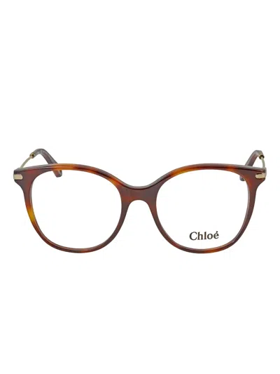 Chloé Round-frame Glasses In Brown