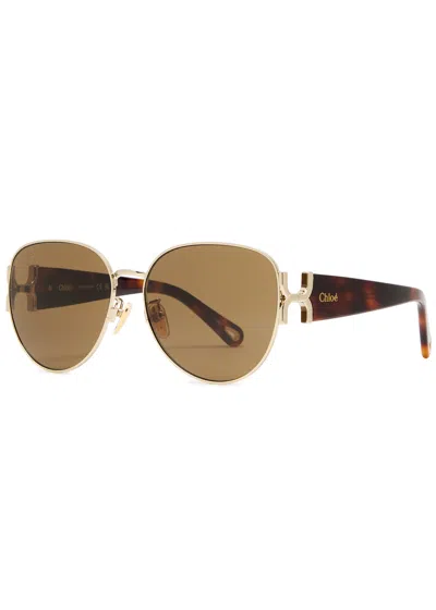 Chloé Chloe Women Printed Acetate Sunglasses In Brown Havana