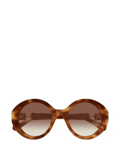 Chloé Round-frame Sunglasses In Brown