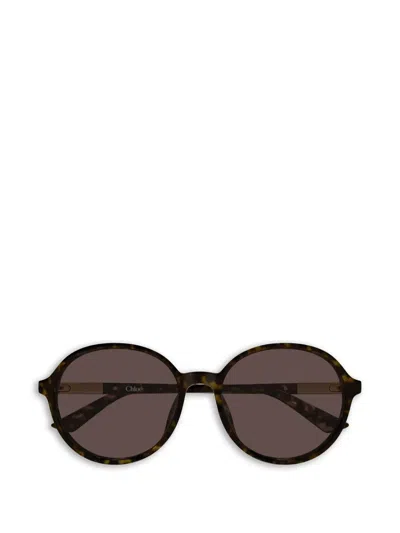 Chloé Round-frame Sunglasses In Brown
