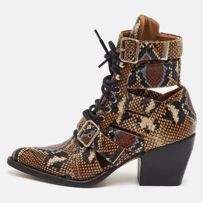 Pre-owned Chloé Rylee Size 38.5 Brown/black Python Embossed Leather Ankle Length Boots