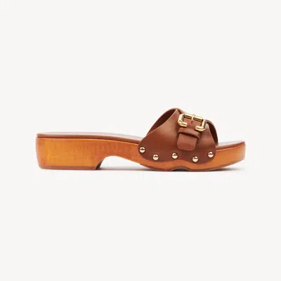 Chloé Sabots Mules Jeannette In Brown