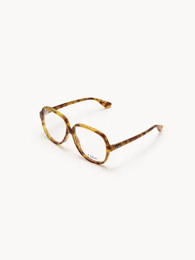Chloé Salomé Eyeglasses In Havana