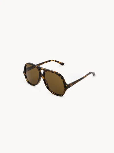 Chloé Salomé Sunglasses In Dark Havana