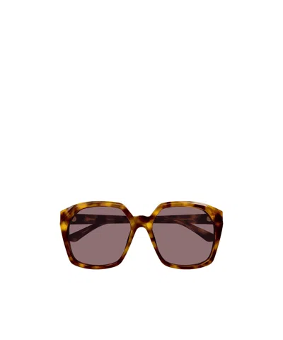 Chloé Salome Sunglasses In Gray