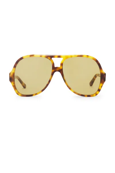Chloé Salome Sunglasses In Havana & Green