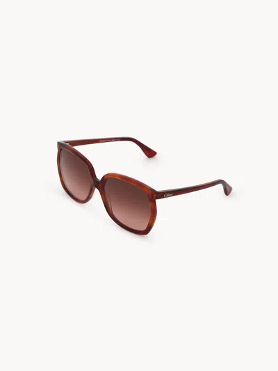 Chloé Salomé Sunglasses In Rust Havana