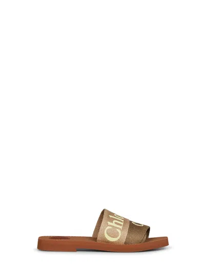 Chloé Sand And Yellow Woody Flat Sandals In Multi