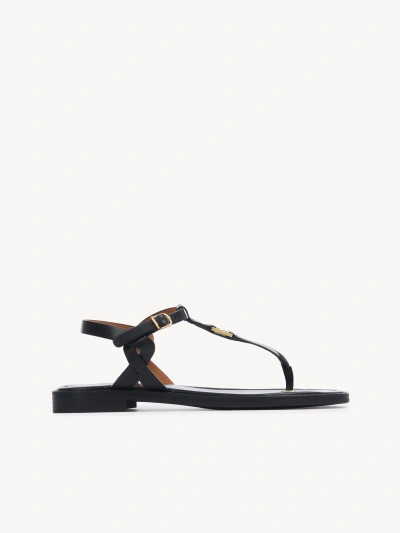 Chloé Marcie Flat Leather Sandals In Black