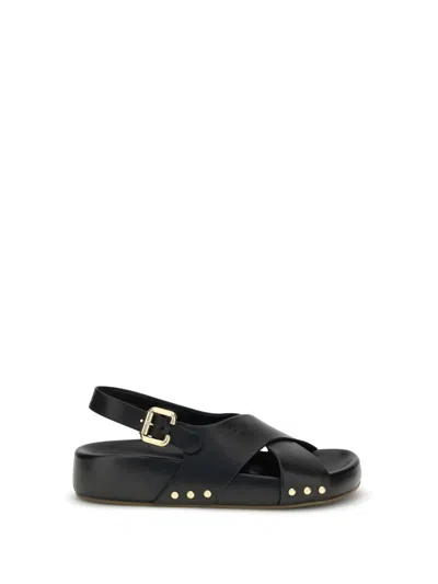 Chloé Sandals In Black