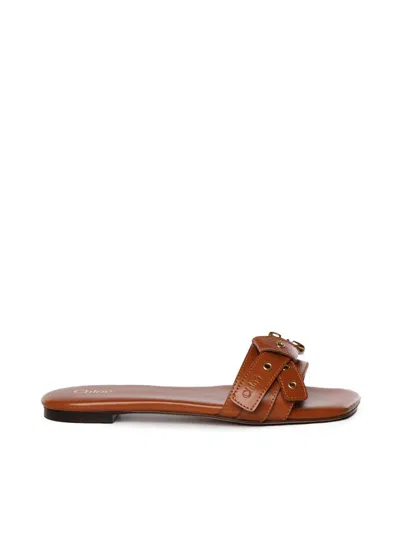 Chloé Chloè Sandals In Brown