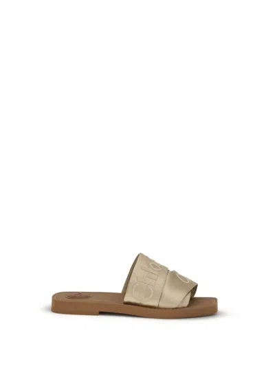 Chloé Women Woody Mules In Gold