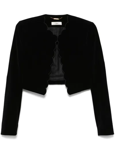 Chloé Chloe Scalloped Cropped Velvet Jacket In Black