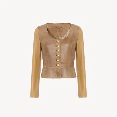Chloé Scoop-neck Cinched Jacket In Leather In Nude
