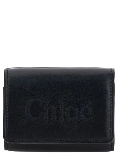Chloé Trifold Mini Wallet In Black