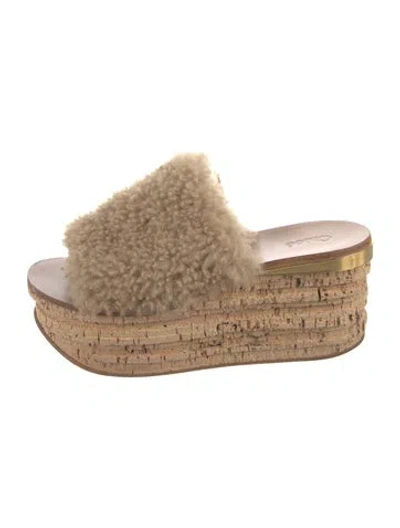 Pre-owned Chloé Shearling Colorblock Pattern Slides In Neutral