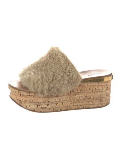 Pre-owned Chloé Shearling Mules In Brown