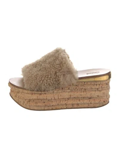 Pre-owned Chloé Shearling Slides In Neutral