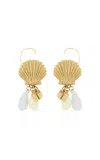 Chloé Shell Drop Earrings In Gold