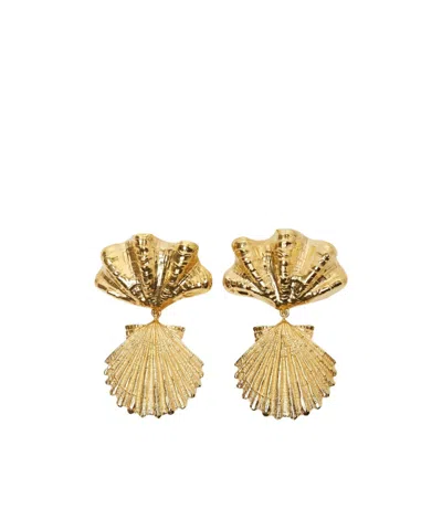 Chloé Shell Design Textured Metal Earrings In Gold