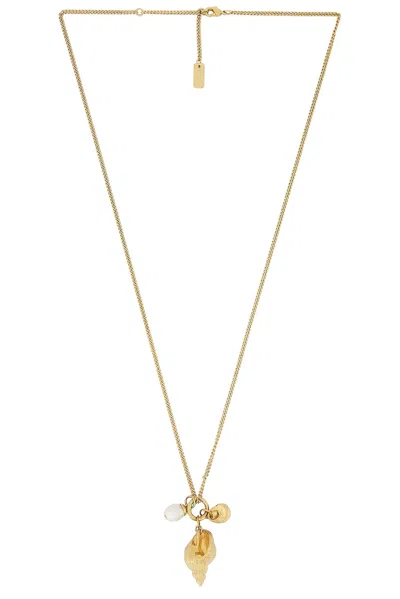 Chloé Shell Necklace In Gold