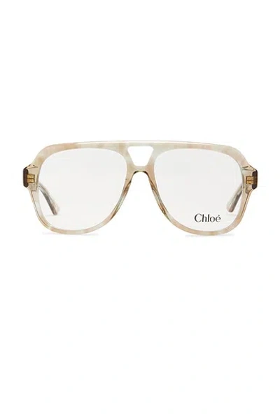 Chloé Shield Eyeglasses In Brown