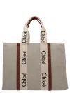 Chloé Woody Medium Tote Bag Multicolor In Multicolor