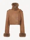 Chloé Cropped Shearling-trimmed Leather Jacket In Brown