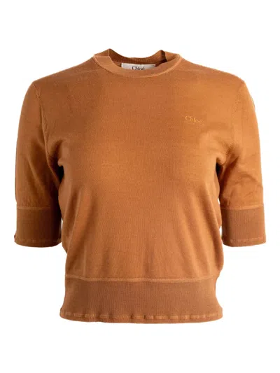 Chloé Short-sleeve Wool Top In Brown
