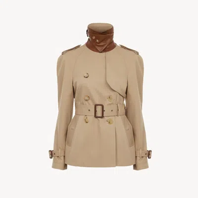 Chloé Short Trench Coat In Cotton Gabardine Brown Size 6 100% Cotton, Horn Bubalus Bubalis, Farmed, Coo In