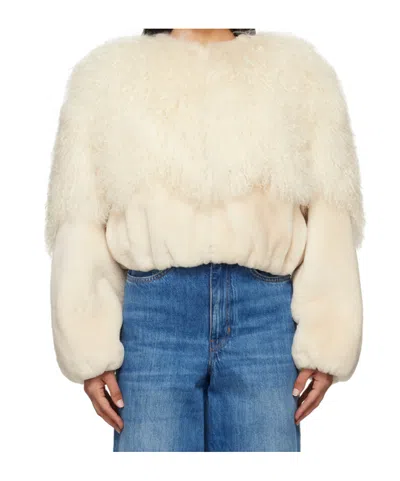Chloé Short Wool Fur In Nude