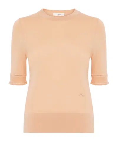 Chloé Short-sleeve Sweater In A Wool Knit In Brown
