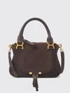 Chloé Small Suede Shoulder Bag With Leather Handle In Brown