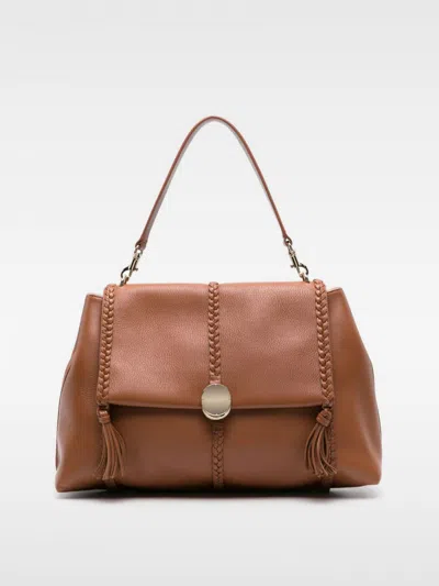 Chloé Shoulder Bag  Woman Color Brown In Brown