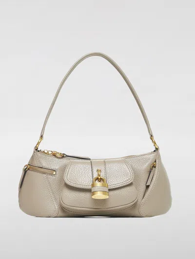 Chloé Shoulder Bag In Grey