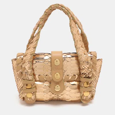 Pre-owned Chloé Silverado Gold Python Satchel