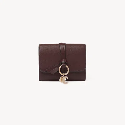 Chloé Small Alphabet Tri-fold In Grained Leather In Brown