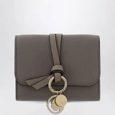 Chloé Small Alphabet Trifold Wallet Grey In Gray