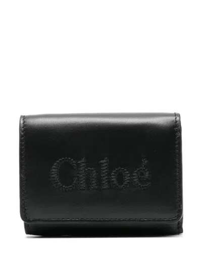 Chloé Small Leather Goods In Black