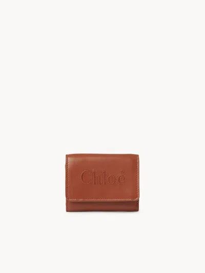 Chloé Small Leather Goods In Brown