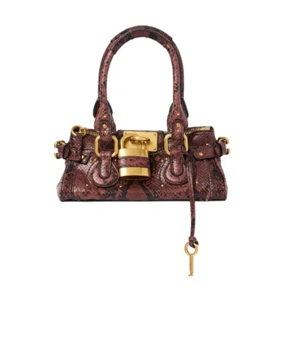 Chloé Small Paddington Bag In Python-effect Leather In Brown