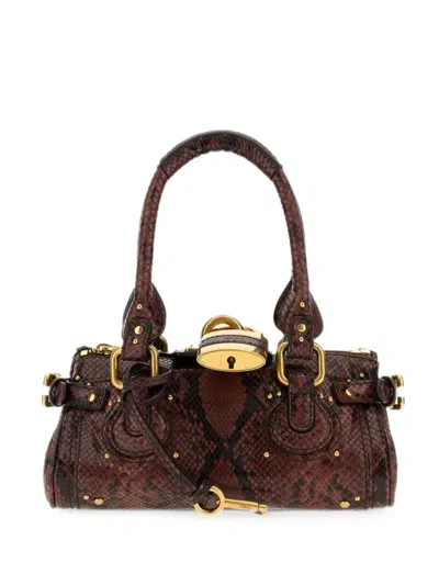 Chloé Small Paddington Snakeskin-effect Tote Bag In Brown